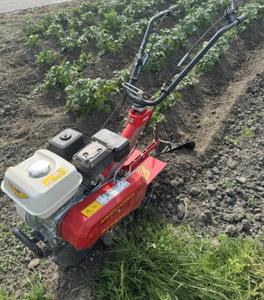 Tuinfrees Meccanica Benassi RT 401 H